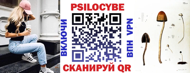 Купить где  Тюкалинск  Псилоцибиновые грибы Psilocybine cubensis 